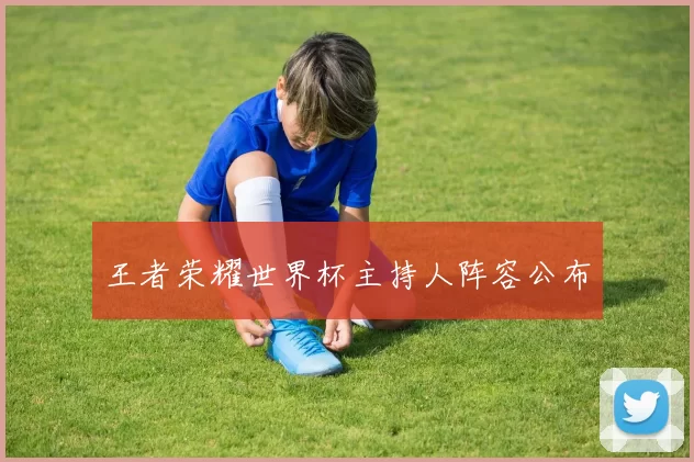 王者荣耀世界杯主持人阵容公布
