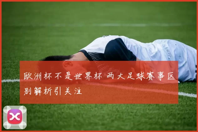 欧洲杯不是世界杯 两大足球赛事区别解析引关注