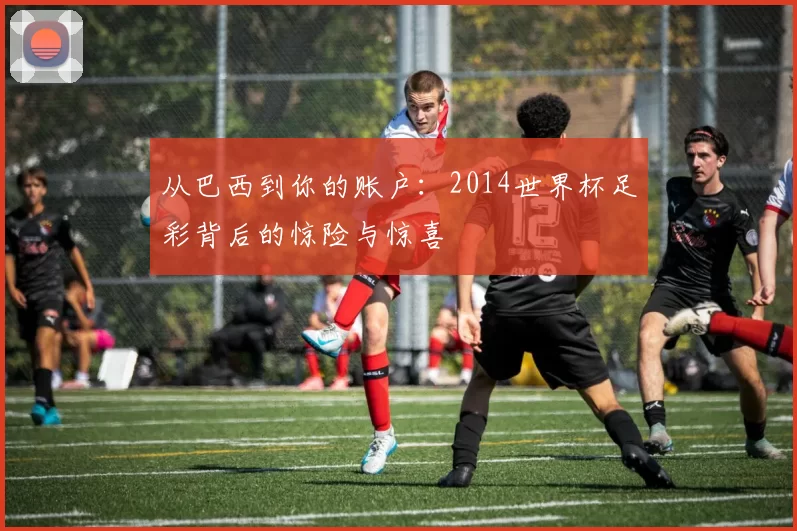 从巴西到你的账户：2014世界杯足彩背后的惊险与惊喜