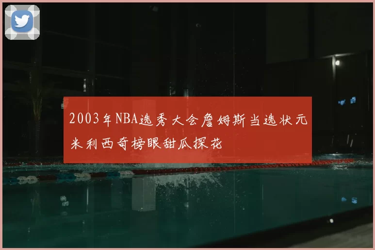 2003年NBA选秀大会詹姆斯当选状元米利西奇榜眼甜瓜探花