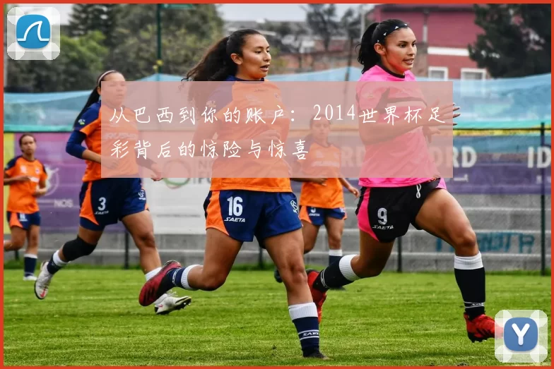 从巴西到你的账户:2014世界杯足彩背后的惊险与惊喜
