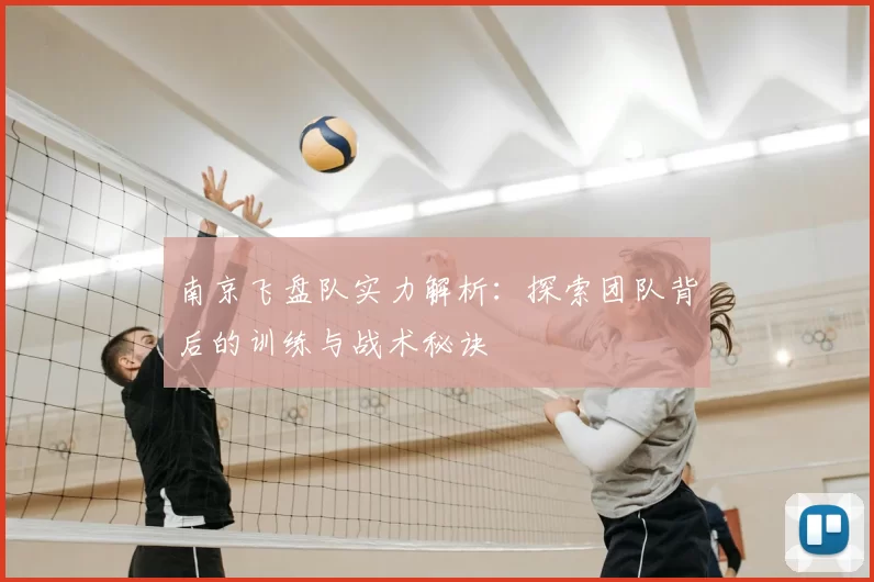 南京飞盘队实力解析：探索团队背后的训练与战术秘诀