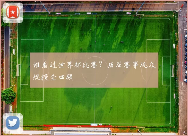 谁看过世界杯比赛?历届赛事观众规模全回顾