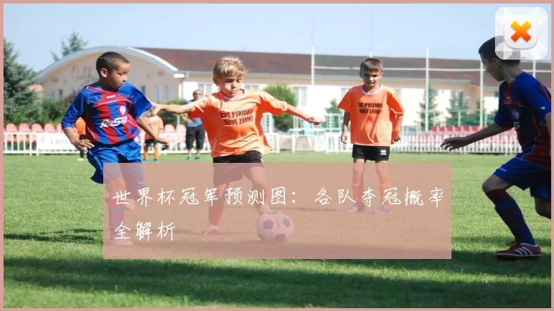 世界杯冠军预测图:各队夺冠概率全解析