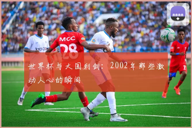 世界杯与大国利剑：2002年那些激动人心的瞬间