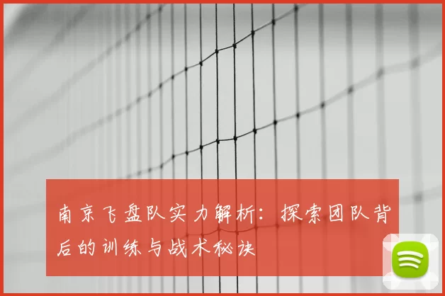 南京飞盘队实力解析:探索团队背后的训练与战术秘诀